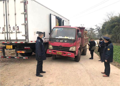廣安岳池縣開展“冬安行動(dòng)”，為春運(yùn)貨物道路運(yùn)輸保駕護(hù)航